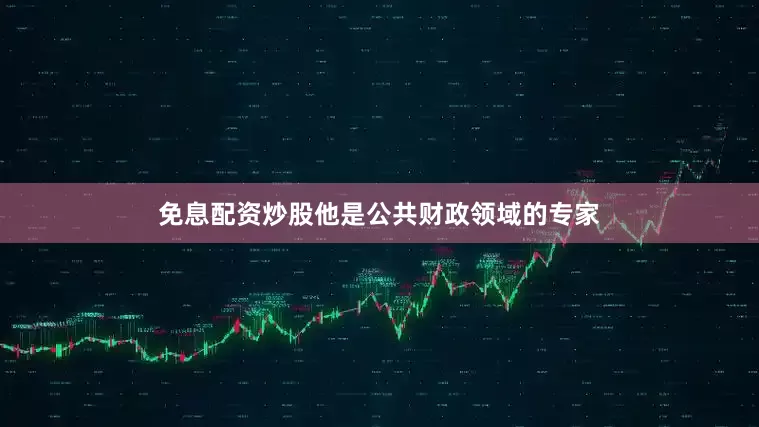 免息配资炒股他是公共财政领域的专家