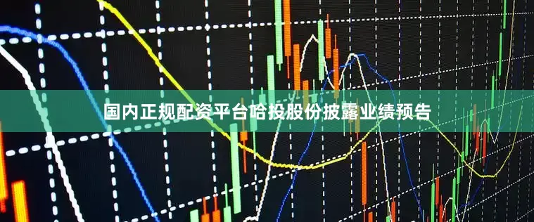 国内正规配资平台哈投股份披露业绩预告