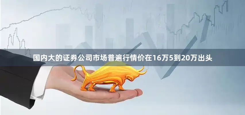 国内大的证券公司市场普遍行情价在16万5到20万出头