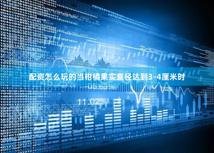 配资怎么玩的当柑橘果实直径达到3-4厘米时