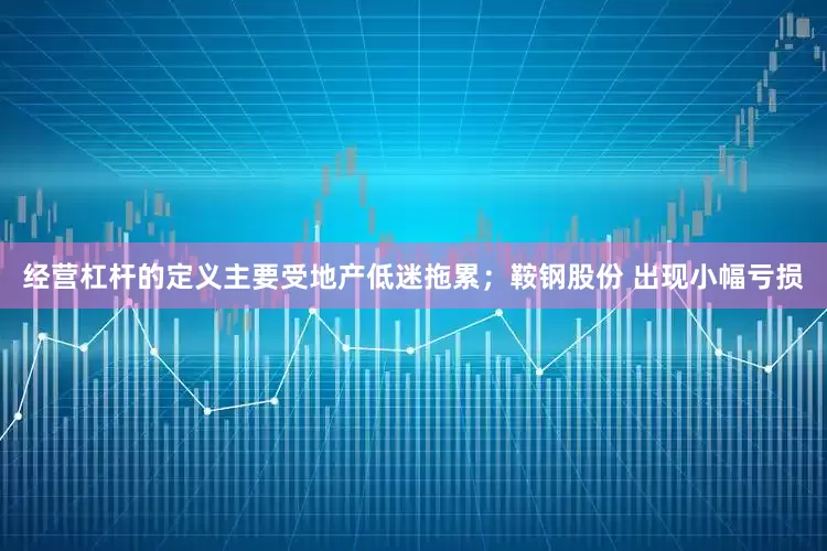 经营杠杆的定义主要受地产低迷拖累；鞍钢股份 出现小幅亏损