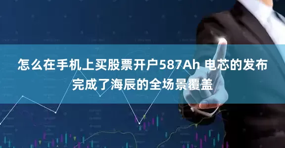 怎么在手机上买股票开户587Ah 电芯的发布完成了海辰的全场景覆盖